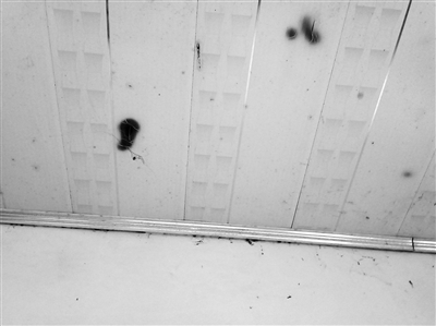 1494295627913271.jpg 1493970574430.jpg