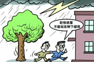 1504063370361510.png 圖片1.png